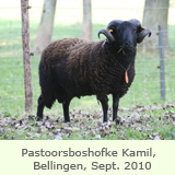 pastoorsboshofke kamil Bellingen Sept.2010